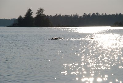 DSC_0962.jpg