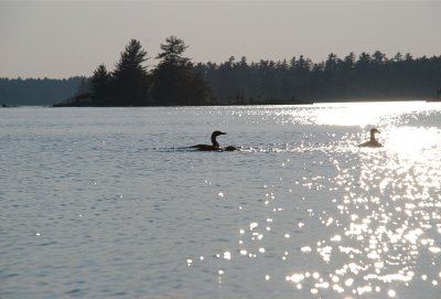 DSC_0964.jpg