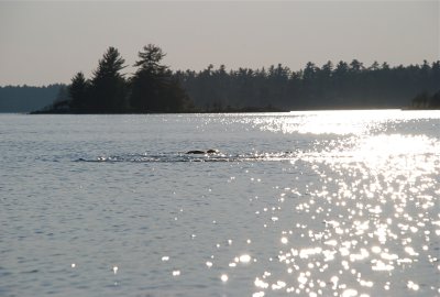 DSC_0967.jpg