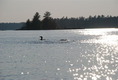 DSC_0969.jpg
