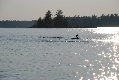 DSC_0970.jpg
