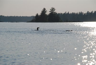 DSC_0972.jpg