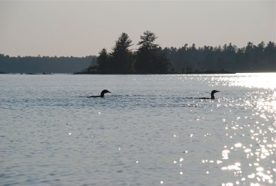 DSC_0974.jpg