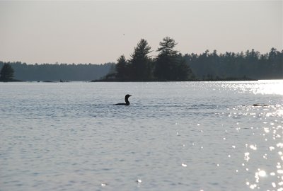 DSC_0976.jpg
