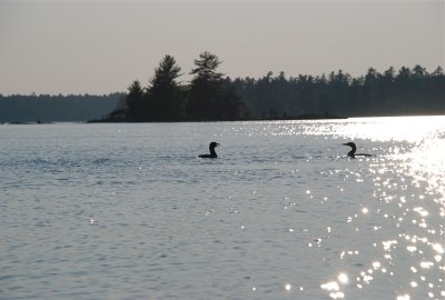 DSC_0982.jpg