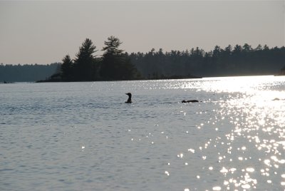 DSC_0985.jpg