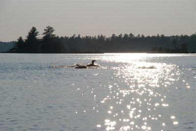 DSC_0986.jpg