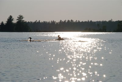 DSC_0987.jpg