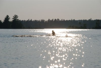 DSC_0988.jpg