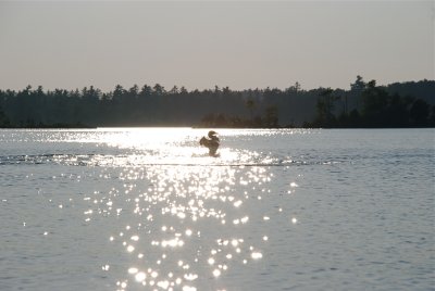 DSC_0990.jpg
