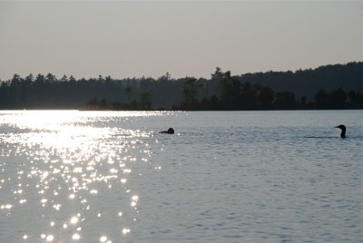 DSC_0994.jpg