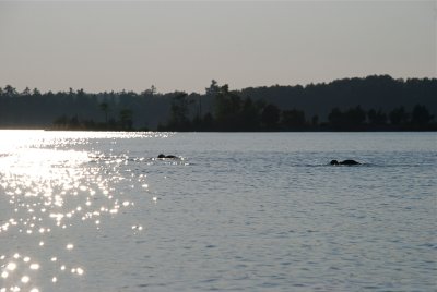 DSC_0997.jpg