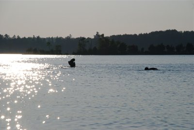 DSC_0998.jpg