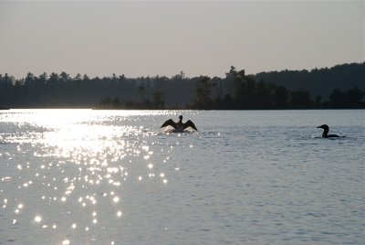 DSC_0999.jpg