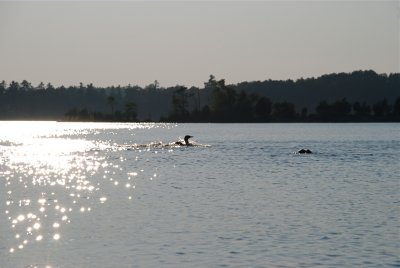 DSC_1001.jpg