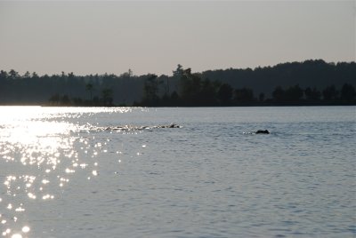 DSC_1002.jpg