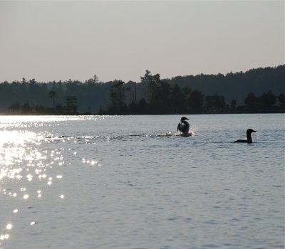 DSC_1004.jpg
