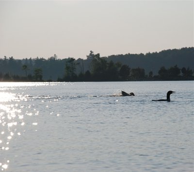 DSC_1005.jpg