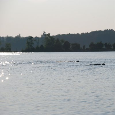 DSC_1006.jpg