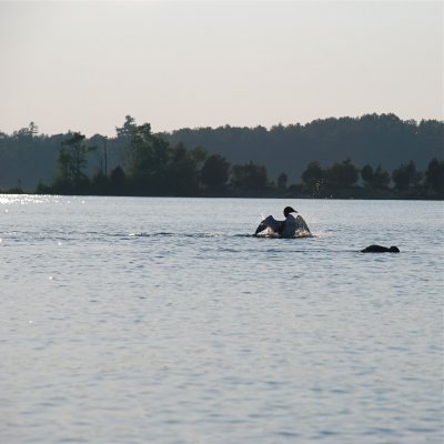 DSC_1007.jpg