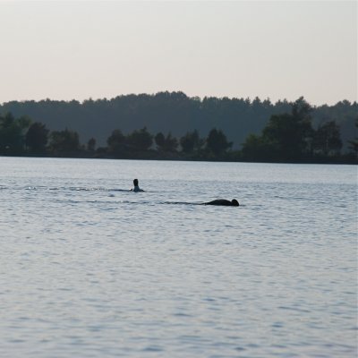 DSC_1010.jpg