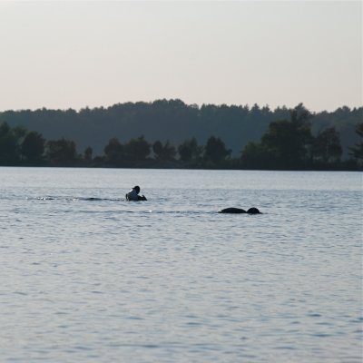 DSC_1011.jpg