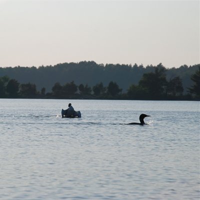 DSC_1012.jpg