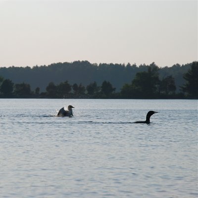DSC_1013.jpg