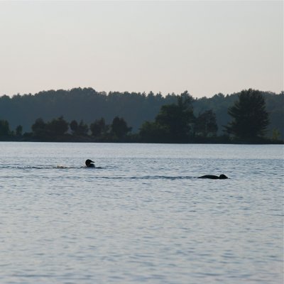 DSC_1015.jpg
