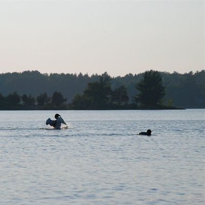 DSC_1016.jpg