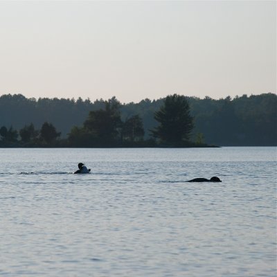 DSC_1019.jpg