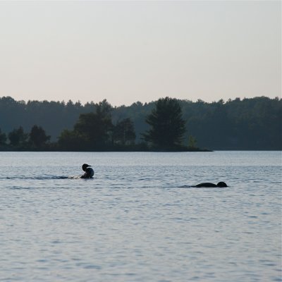 DSC_1020.jpg