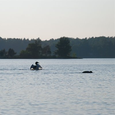 DSC_1021.jpg
