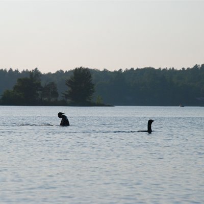 DSC_1023.jpg