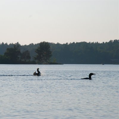 DSC_1024.jpg