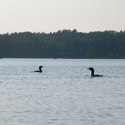 DSC_1028.jpg