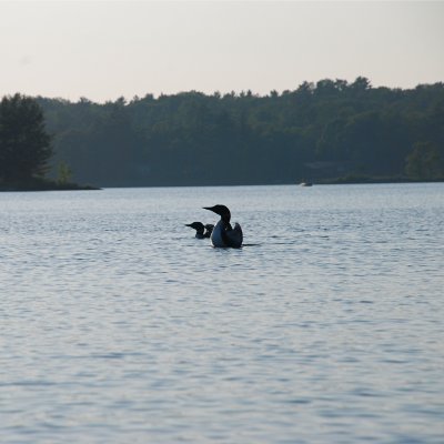 DSC_1036.jpg