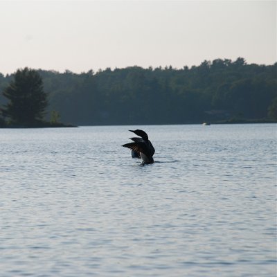 DSC_1037.jpg