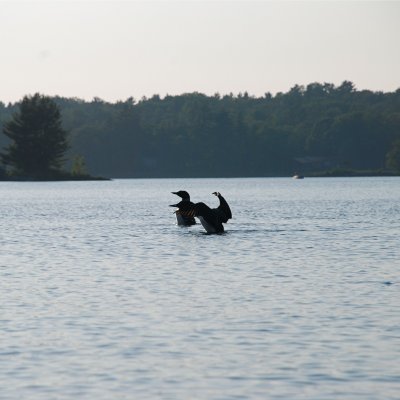 DSC_1038.jpg