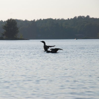DSC_1039.jpg