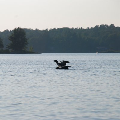 DSC_1040.jpg