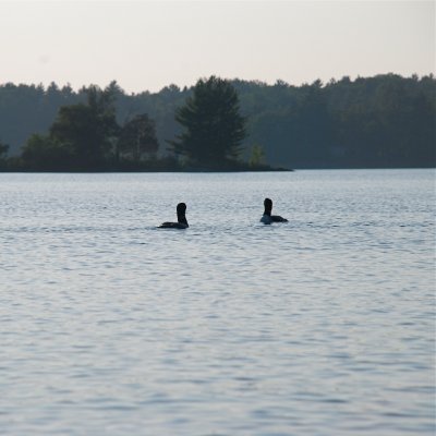 DSC_1048.jpg