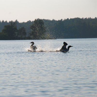DSC_1049.jpg