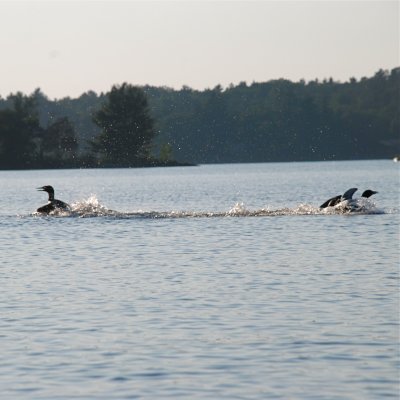 DSC_1050.jpg