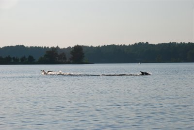 DSC_1051.jpg