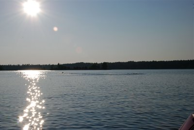 DSC_1054.jpg