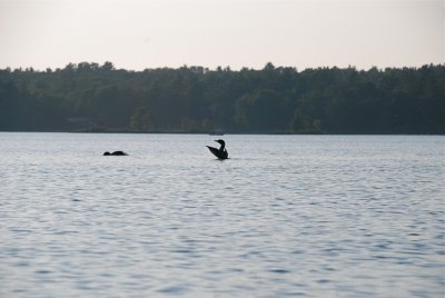 DSC_1076.jpg