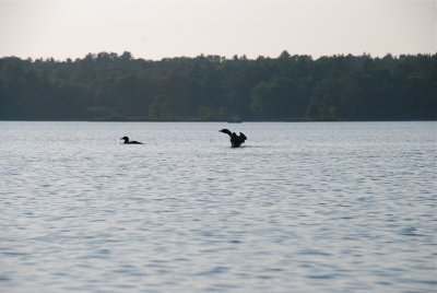 DSC_1077.jpg