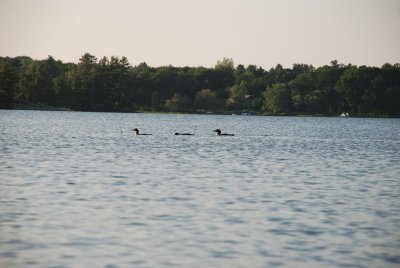 DSC_1083.jpg