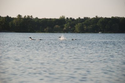 DSC_1085.jpg